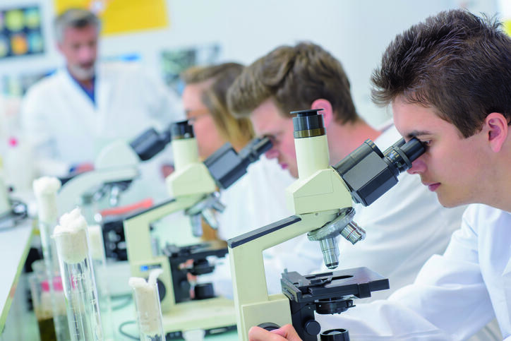 Travail en laboratoire